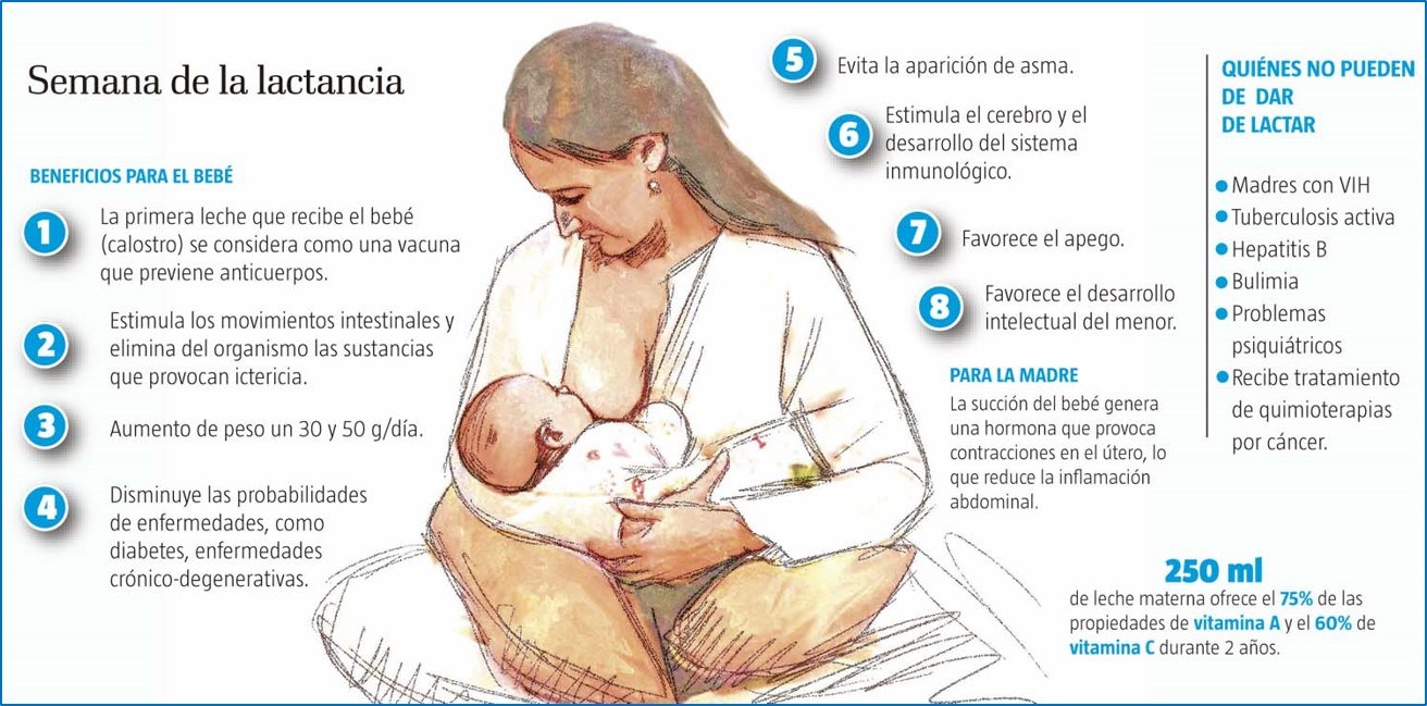 Dieta lactancia materna